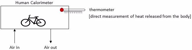 Energy expenditure 2